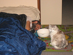 Cat beside a sick man