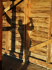 Shadow of a man swinging golf club